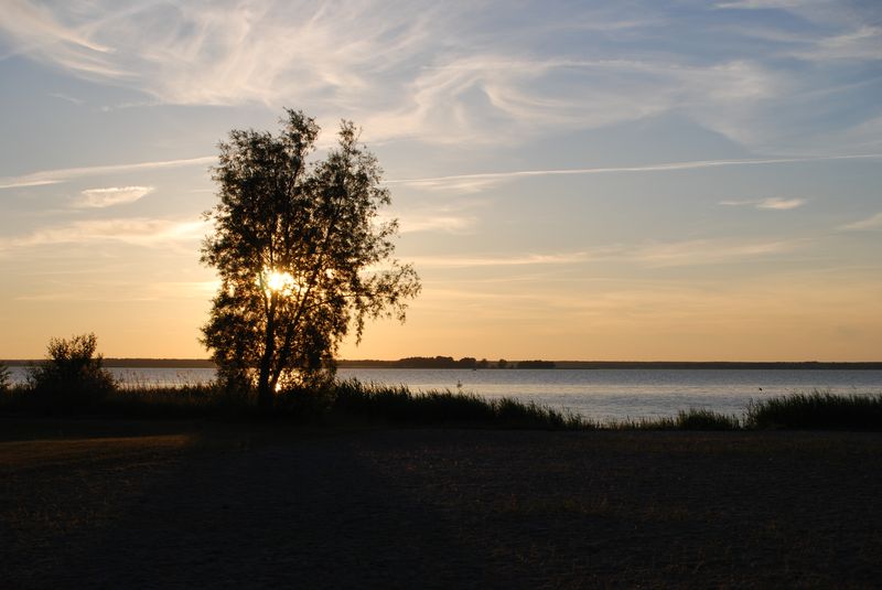 Bodstedte Bodden